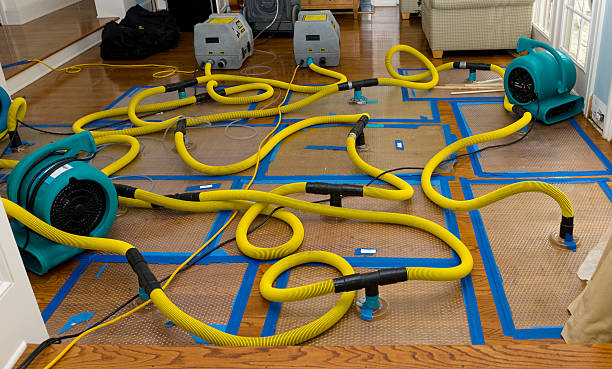 Professional Burst Pipe Water Damage technician working in Smiths Grove, KY